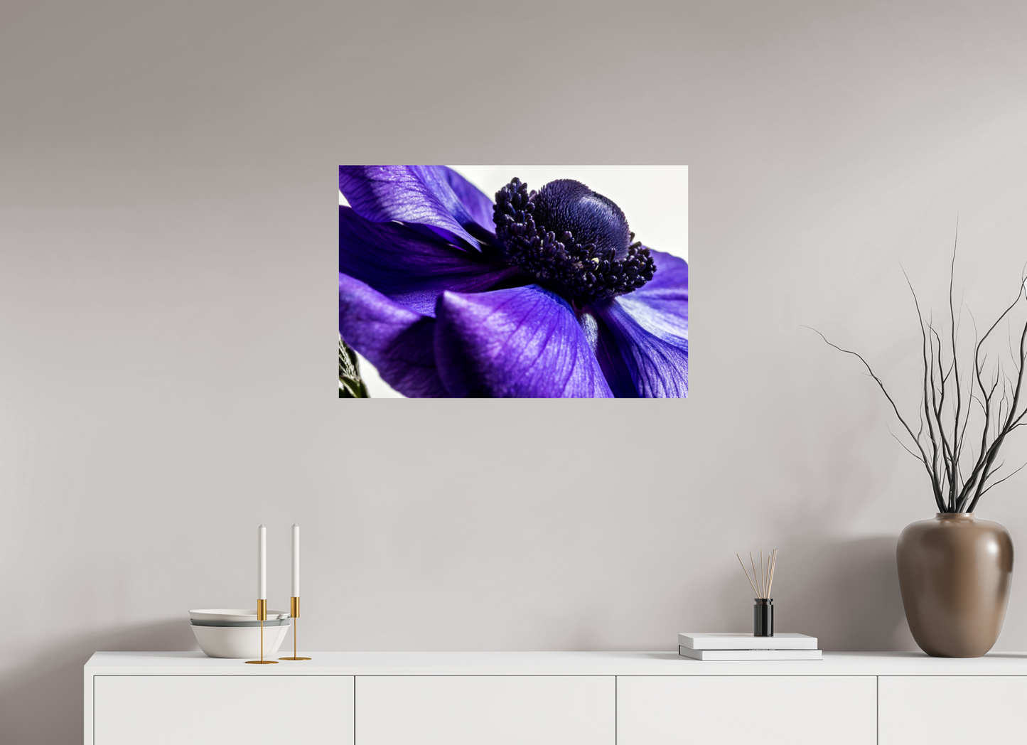 75 x 50 cm, ChromaLuxe HD Metal Print Kronenanemone_04