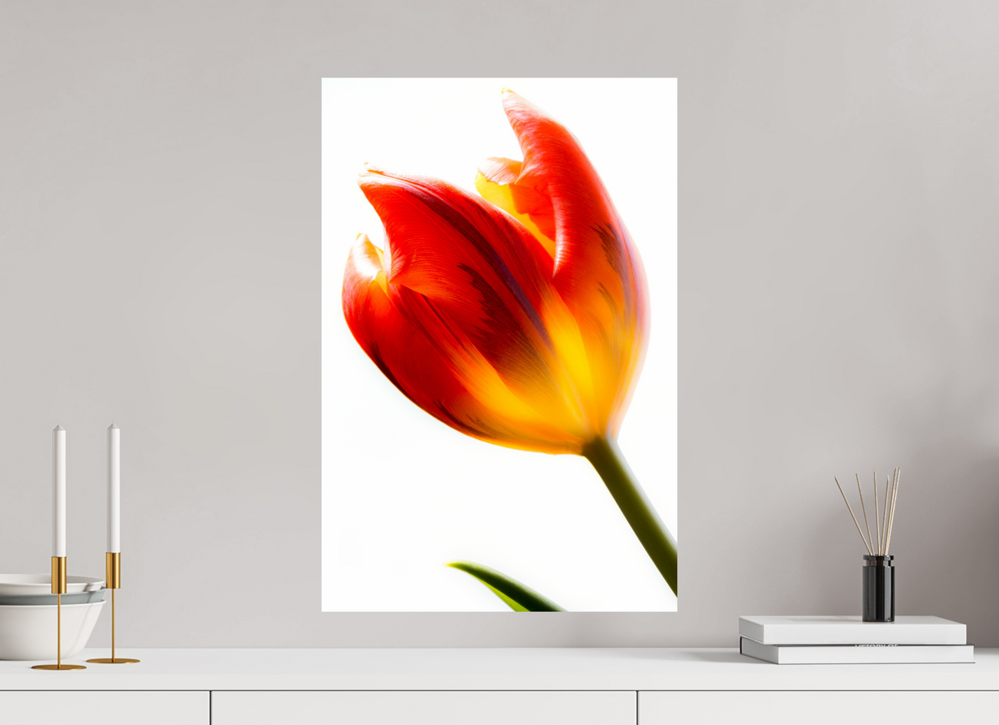 40 x 60 cm, Fine Art Print Baryta auf Alu-Dibond Tulpe-04