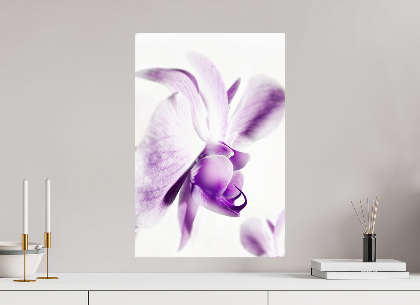 40 x 60 cm, Fine Art Print Baryta auf Alu-Dibond Phalaenopsis-03