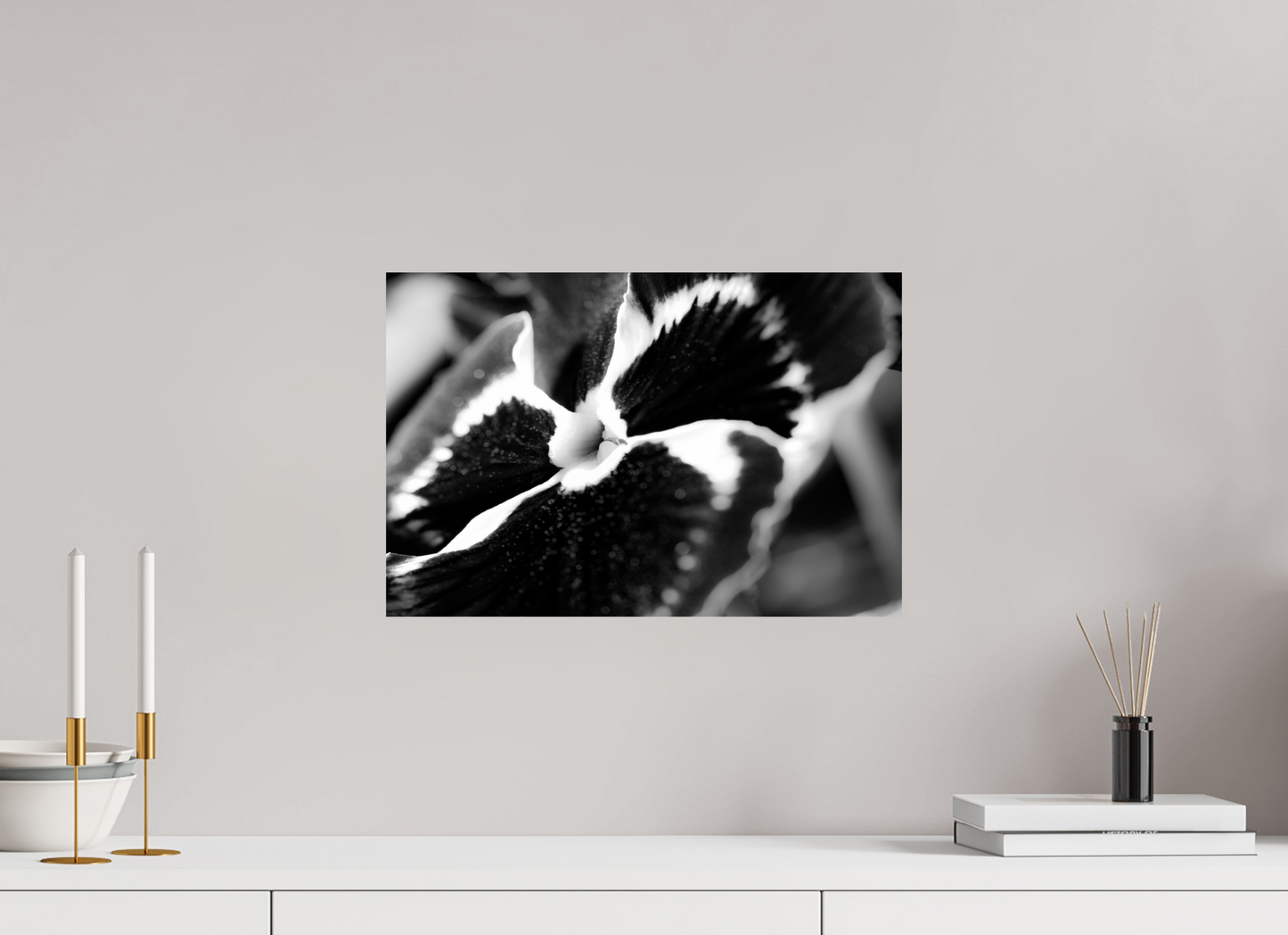 45 x 30 cm, Fine Art Print Baryta auf Alu-Dibond Stiefmuetterchen-01