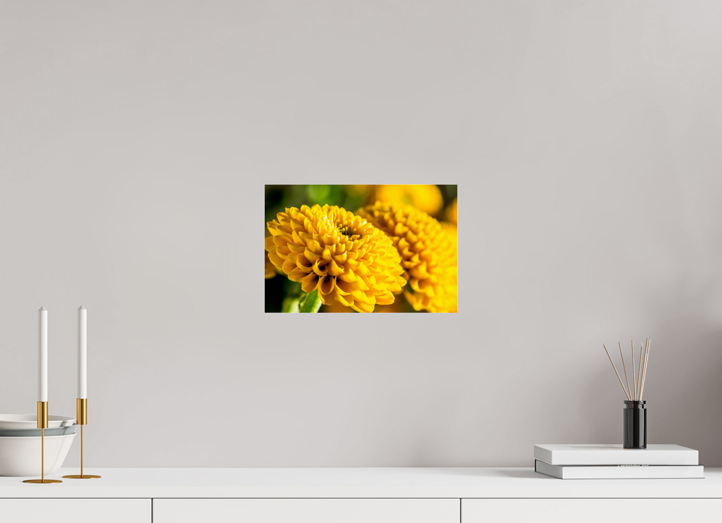 30 x 20 cm, Glänzender Foto-Abzug Acrylglas Chrysanthemen-04