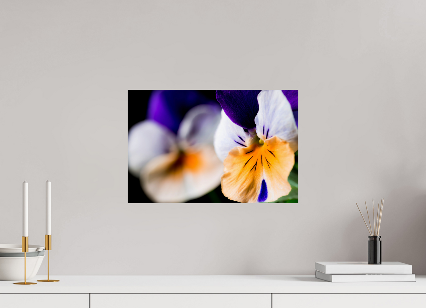 45 x 30 cm, Fine Art Print Baryta auf Alu-Dibond Hornveilchen_02