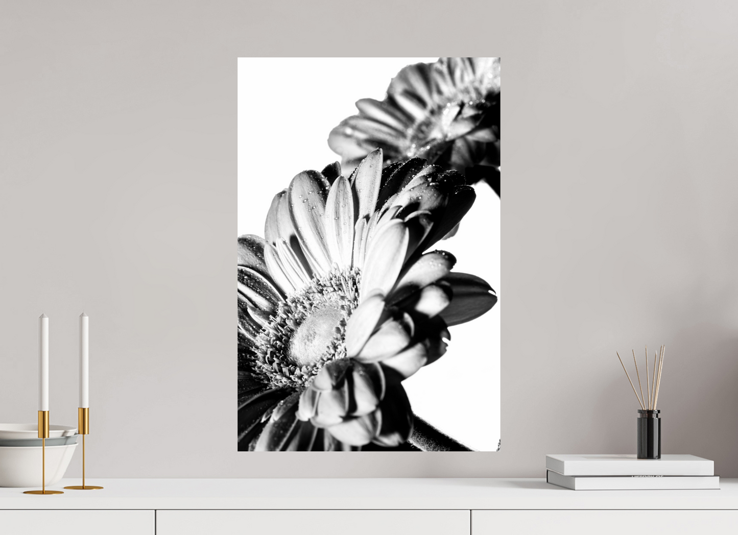 40 x 60 cm, Fine Art Print Baryta auf Alu-Dibond Gerbera_08