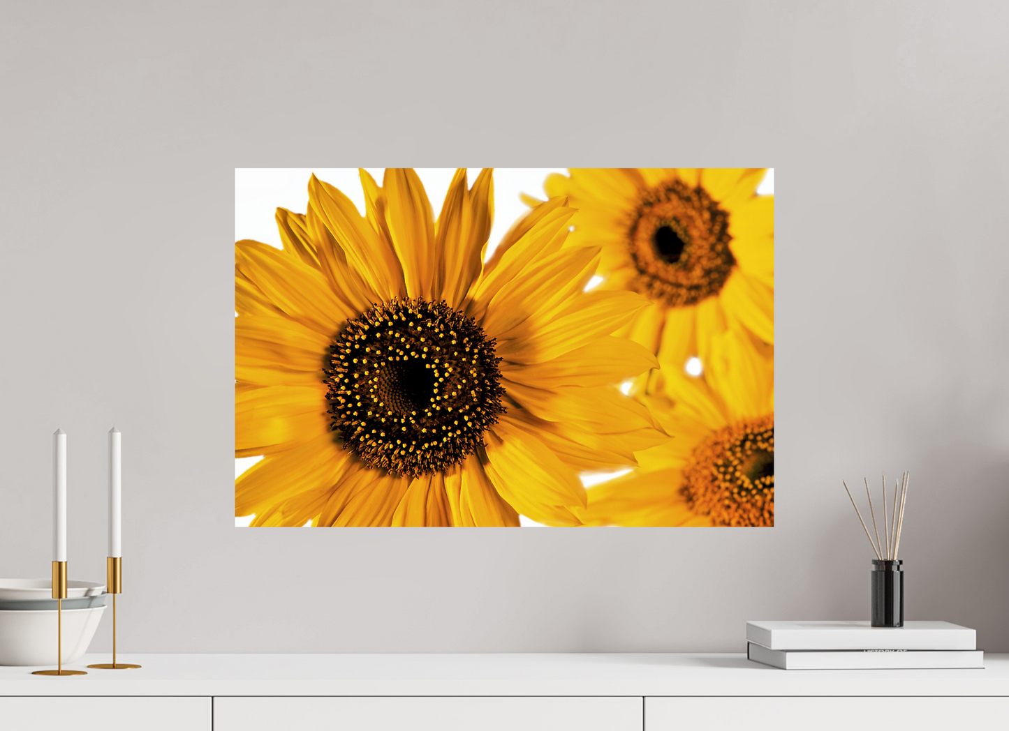 60 x 40 cm, Fine Art Print Baryta auf Alu-Dibond Sonnenblume