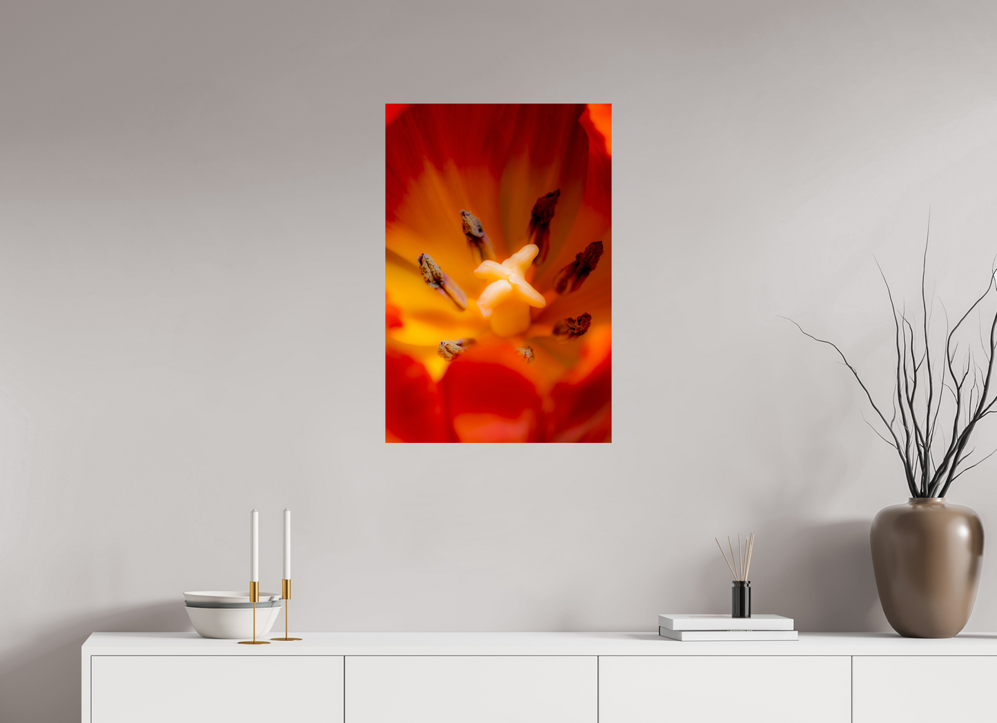 50 x 75 cm, Fine Art Print Baryta auf Alu-Dibond Tulpe-03