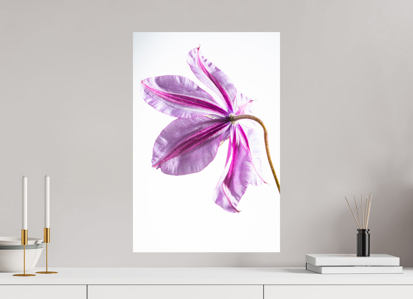 40 x 60 cm, Fine Art Print Baryta auf Alu-Dibond Clematis-03