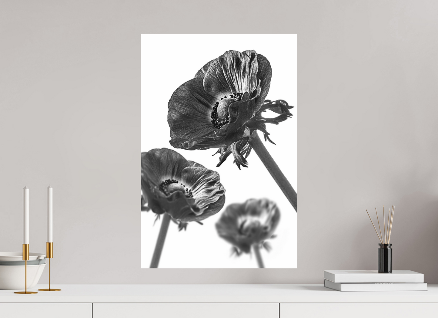 40 x 60 cm, Fine Art Print Baryta auf Alu-Dibond Kronenanemone_08