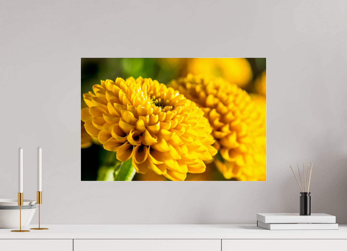 60 x 40 cm, Glänzender Foto-Abzug Acrylglas Chrysanthemen-04