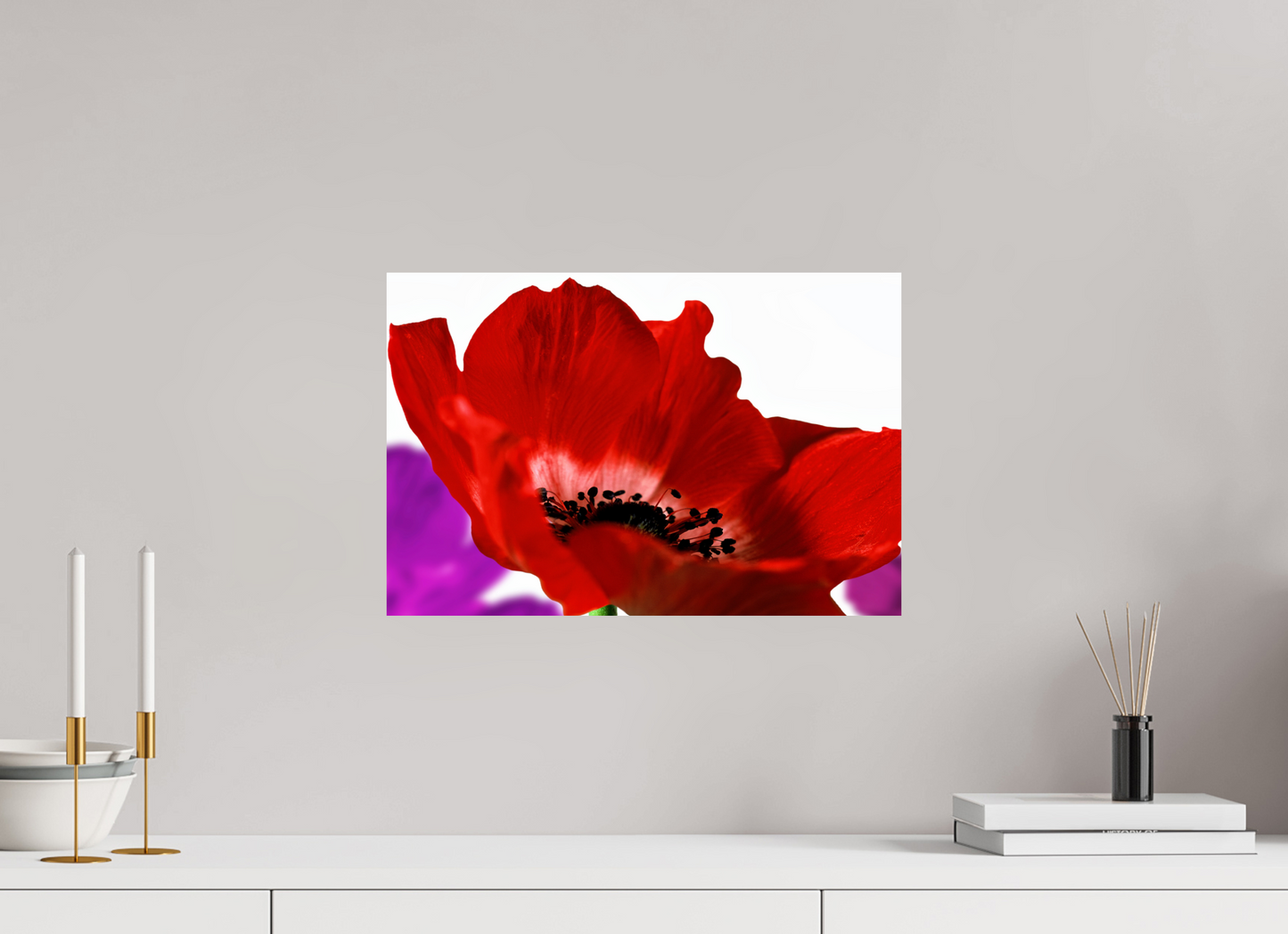 45 x 30 cm, ChromaLuxe HD Metal Print Kronenanemone_07