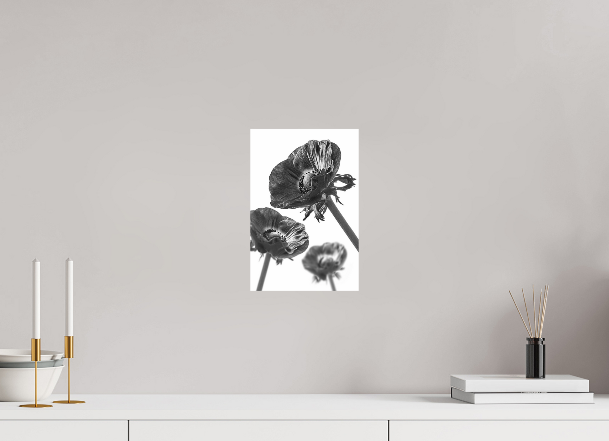 20 x 30 cm, ChromaLuxe HD Metal Print Kronenanemone_08