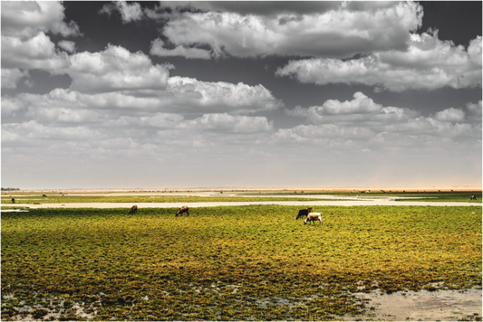 Main image Alagado - Porto do Mangue - RN