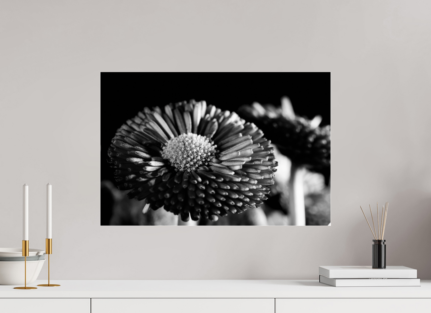60 x 40 cm, Glänzender Foto-Abzug Acrylglas Aster-003