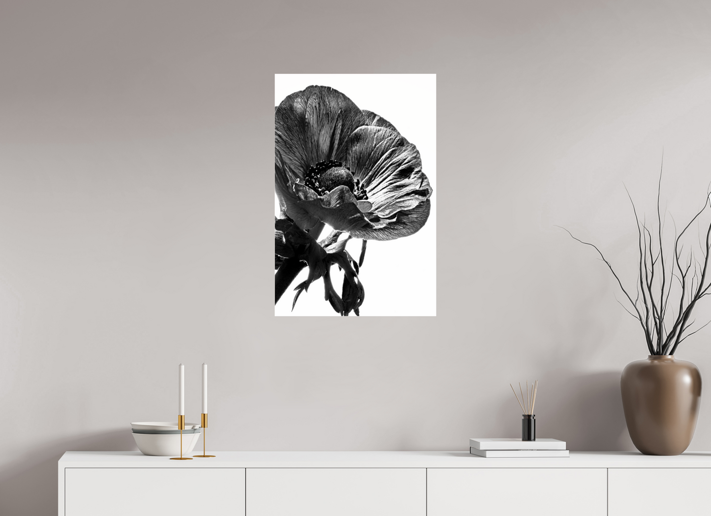 50 x 75 cm, Glänzender Foto-Abzug Acrylglas Kronenanemone_01