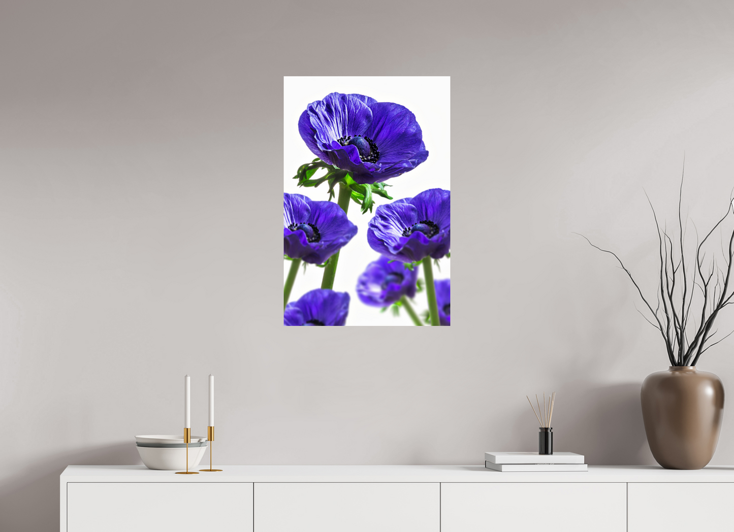 50 x 75 cm, Fine Art Print Baryta auf Alu-Dibond Kronenanemone_06