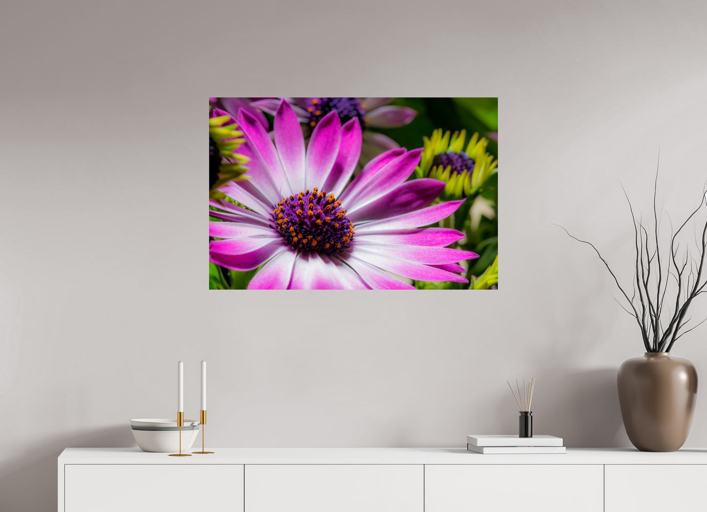 90 x 60 cm, Fine Art Print Baryta auf Alu-Dibond Kapmargerite_03