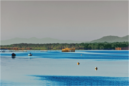 Main image #9 Porto Cubatão - Cananéia - SP