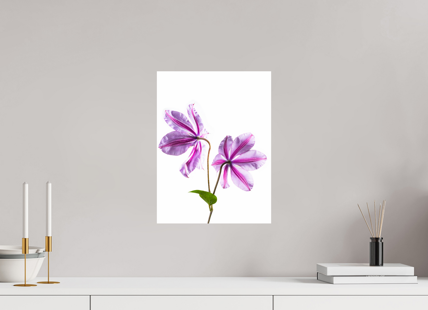 30 x 40 cm, Fine Art Print Baryta auf Alu-Dibond Clematis-01