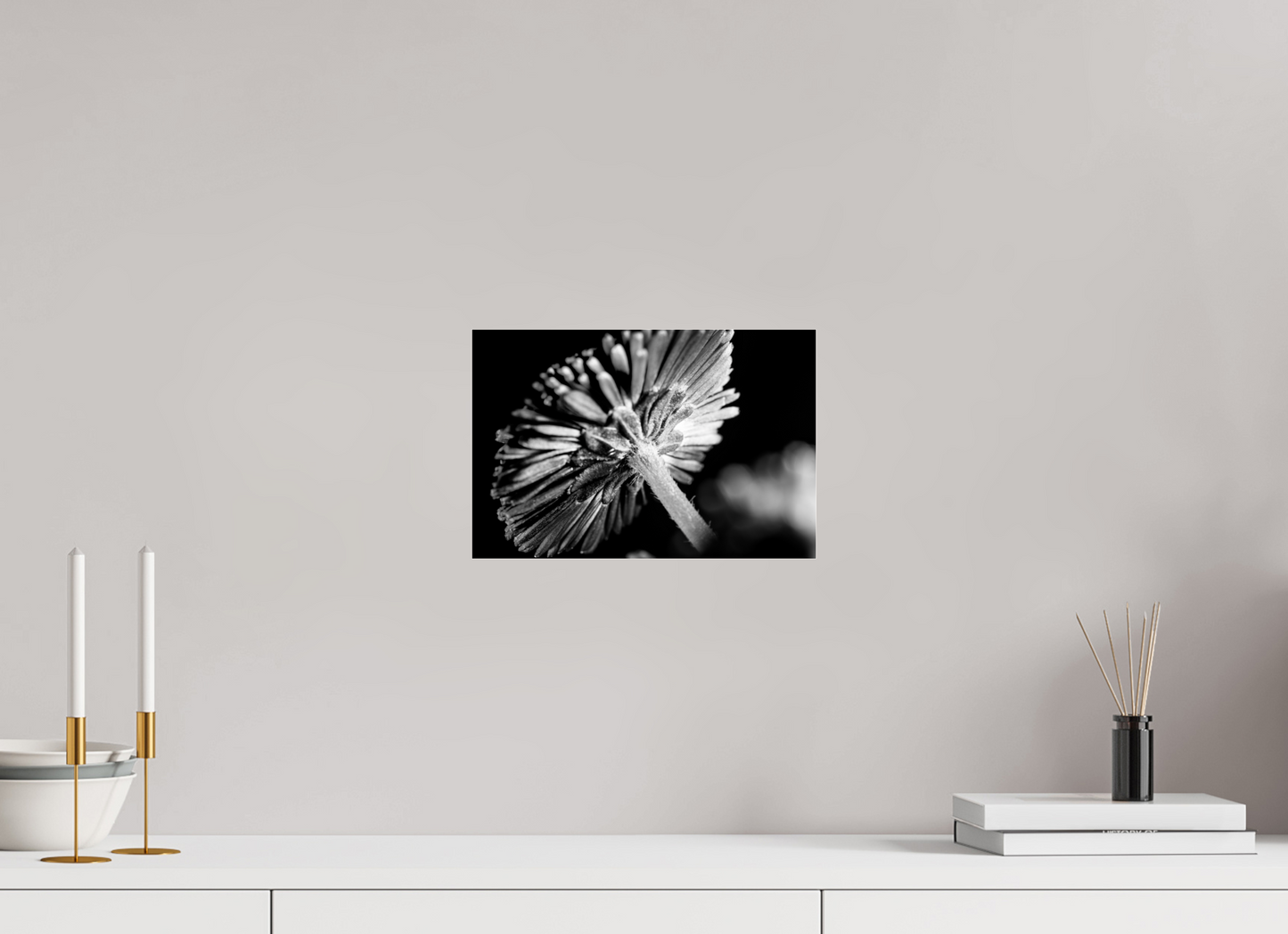 30 x 20 cm, Glänzender Foto-Abzug Acrylglas Aster-004