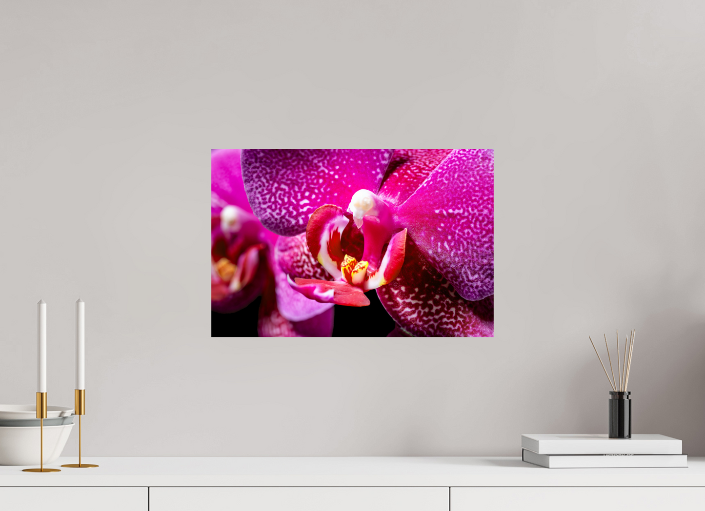 45 x 30 cm, Fine Art Print Baryta auf Alu-Dibond DORITAENOPSIS_BURGUNDY_01