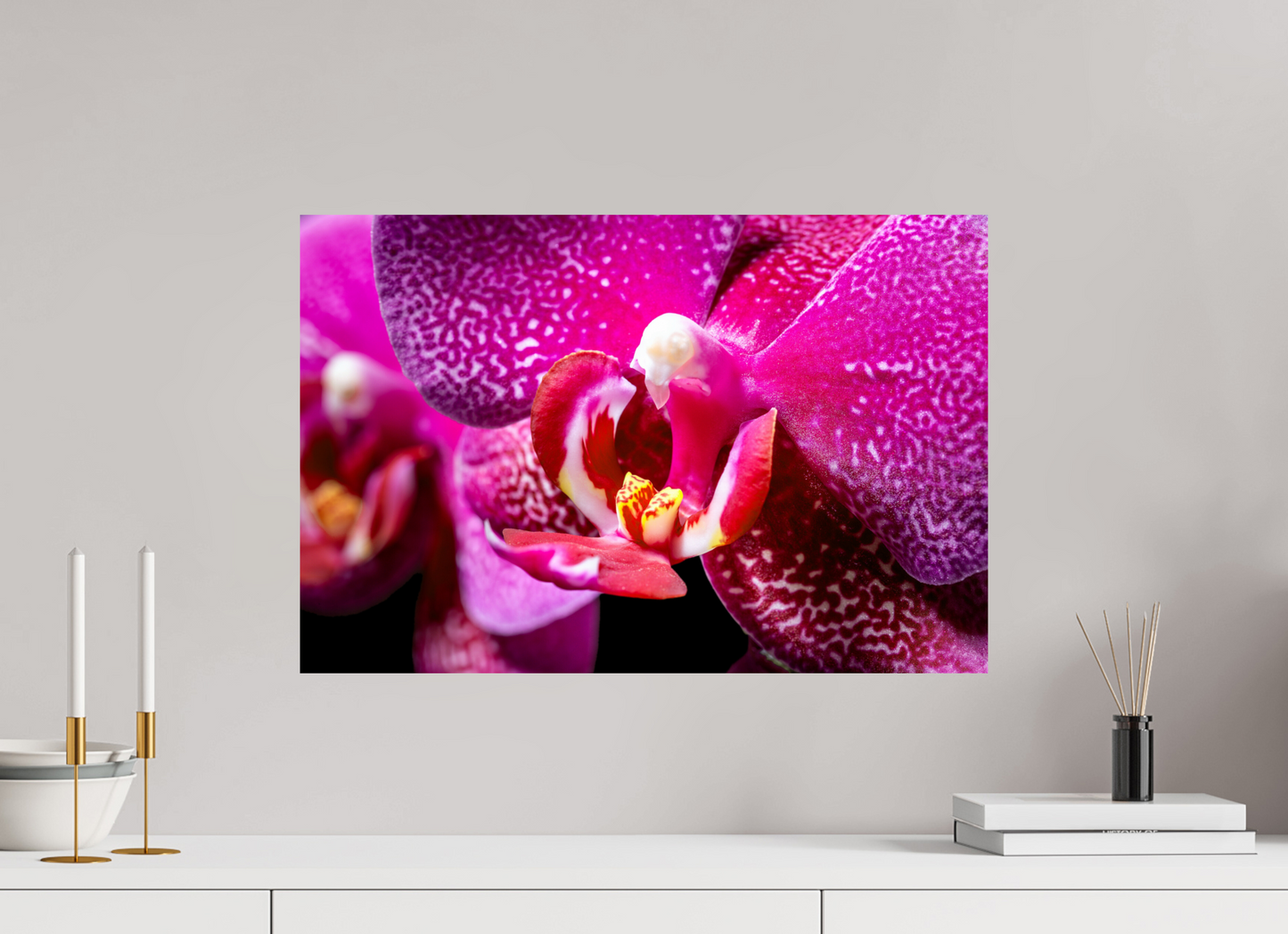 60 x 40 cm, Fine Art Print Baryta auf Alu-Dibond DORITAENOPSIS_BURGUNDY_01