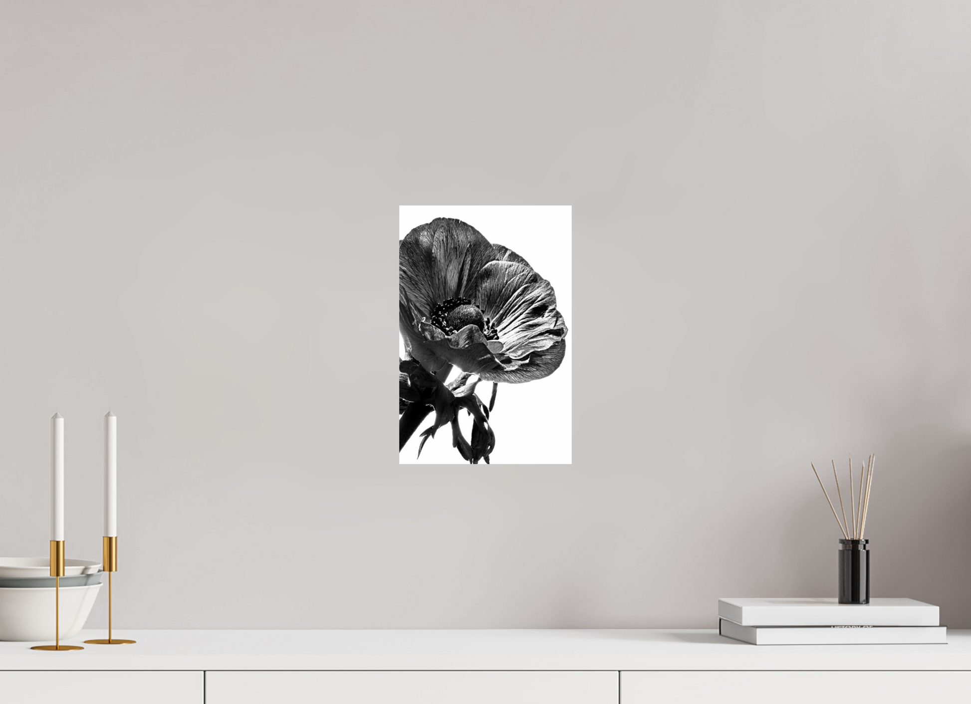 20 x 30 cm, ChromaLuxe HD Metal Print Kronenanemone_01