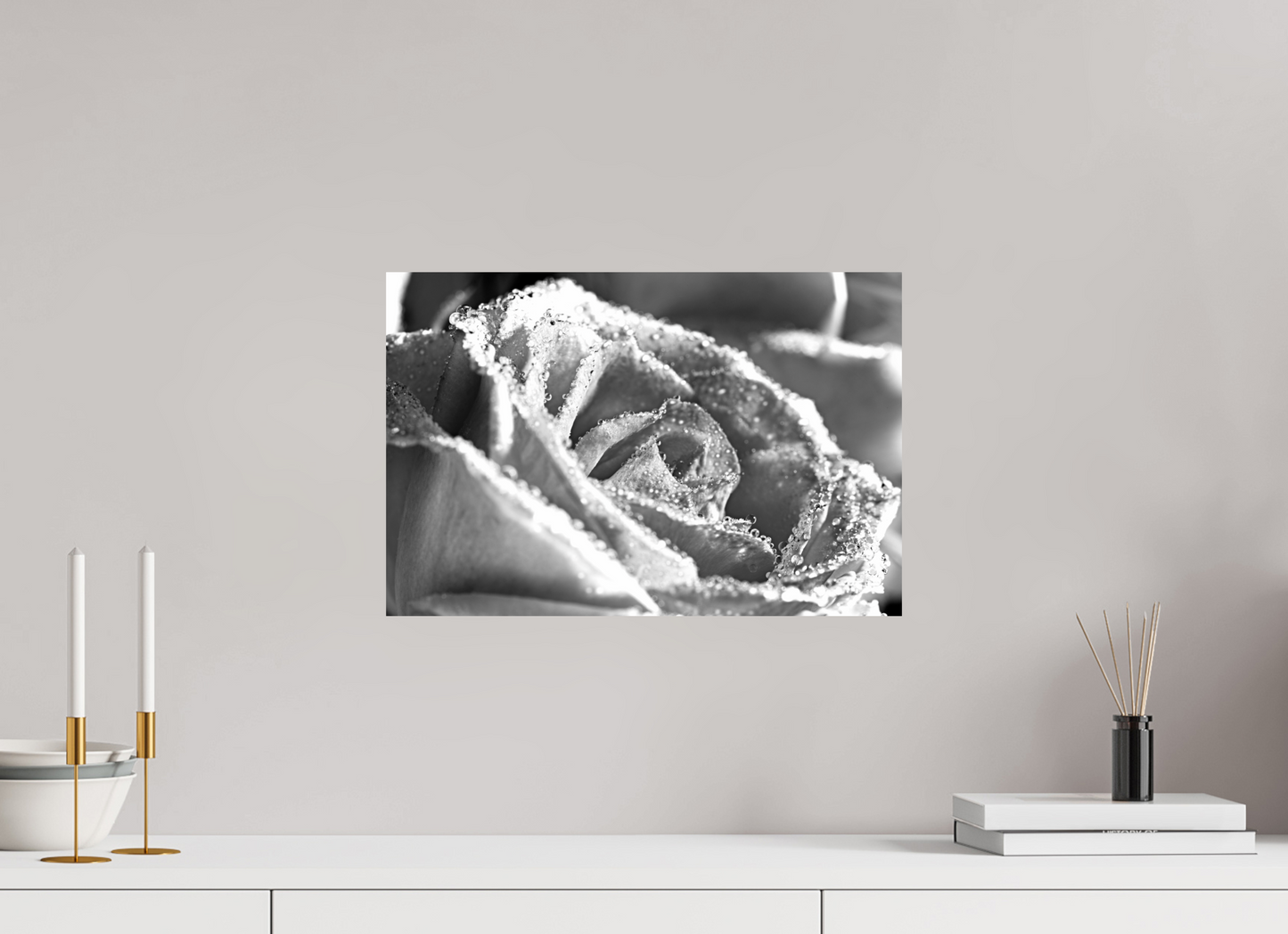 45 x 30 cm, Fine Art Print Baryta auf Alu-Dibond Rose_08