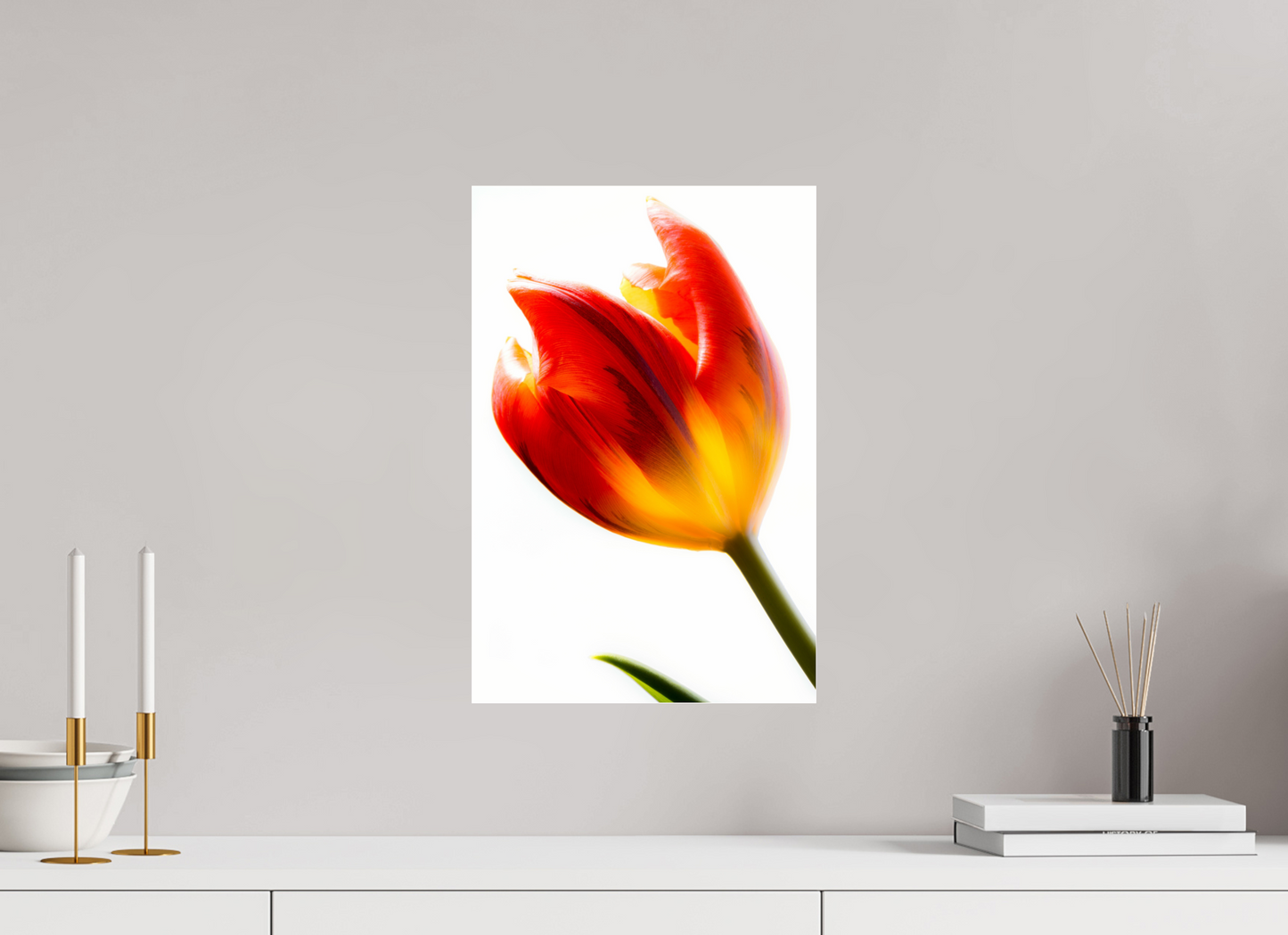 30 x 45 cm, Glänzender Foto-Abzug Acrylglas Tulpe-04