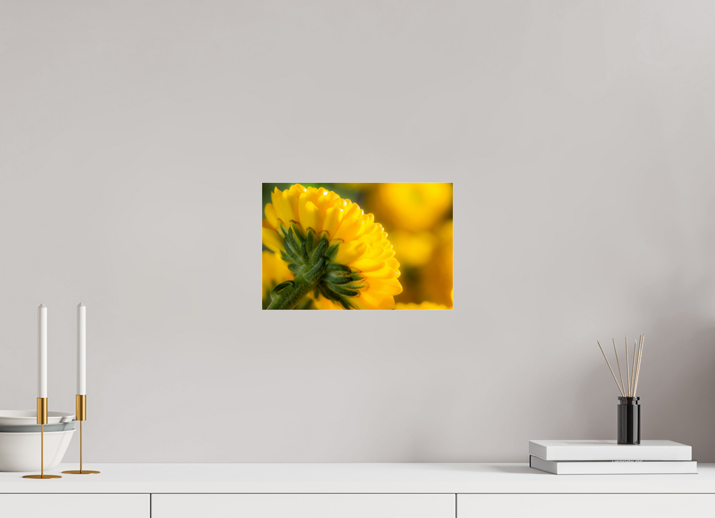 30 x 20 cm, Glänzender Foto-Abzug Acrylglas Chrysanthemen-05