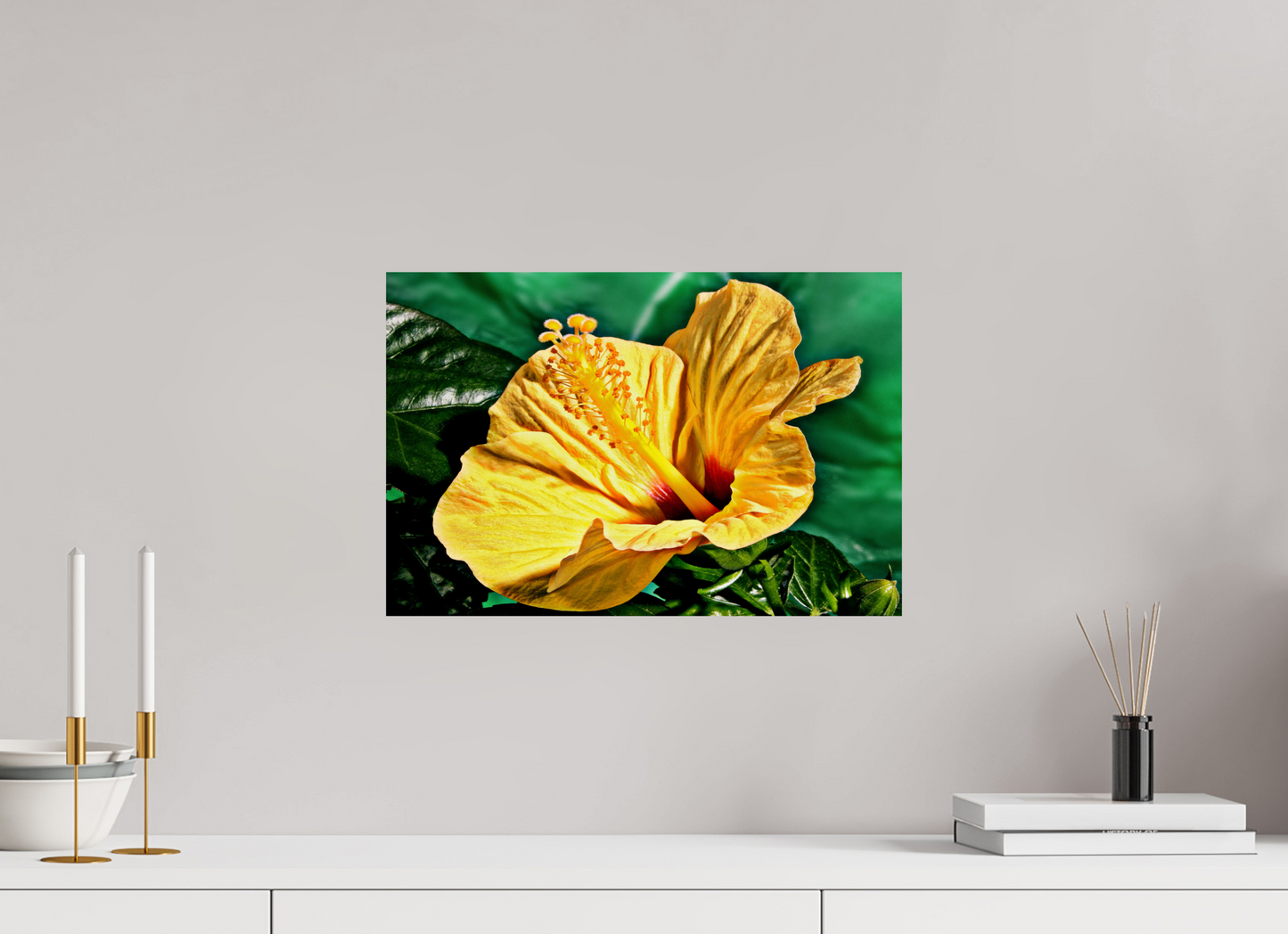 45 x 30 cm, Fine Art Print Baryta auf Alu-Dibond Hibiscus-02