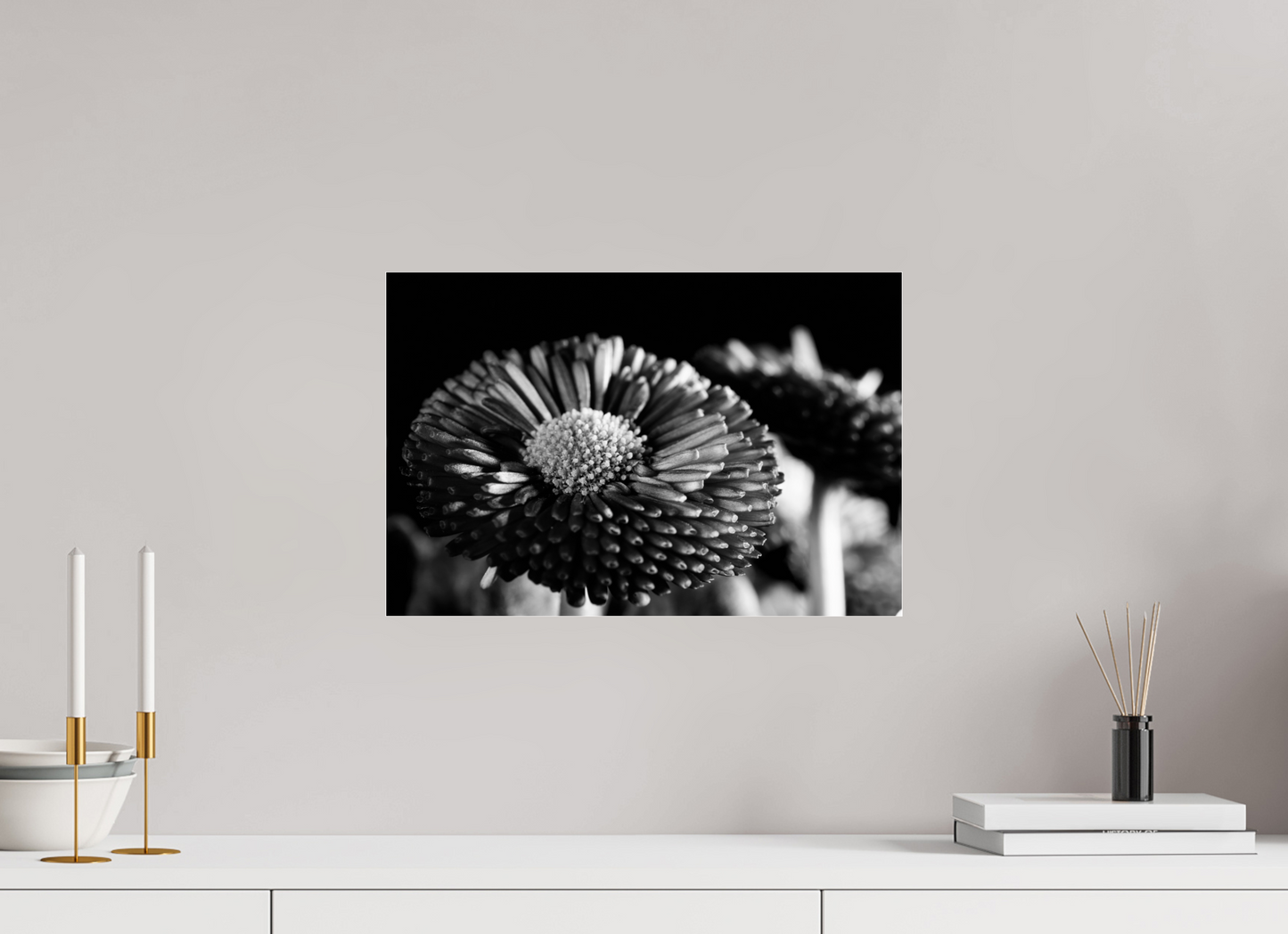 45 x 30 cm, Glänzender Foto-Abzug Acrylglas Aster-003