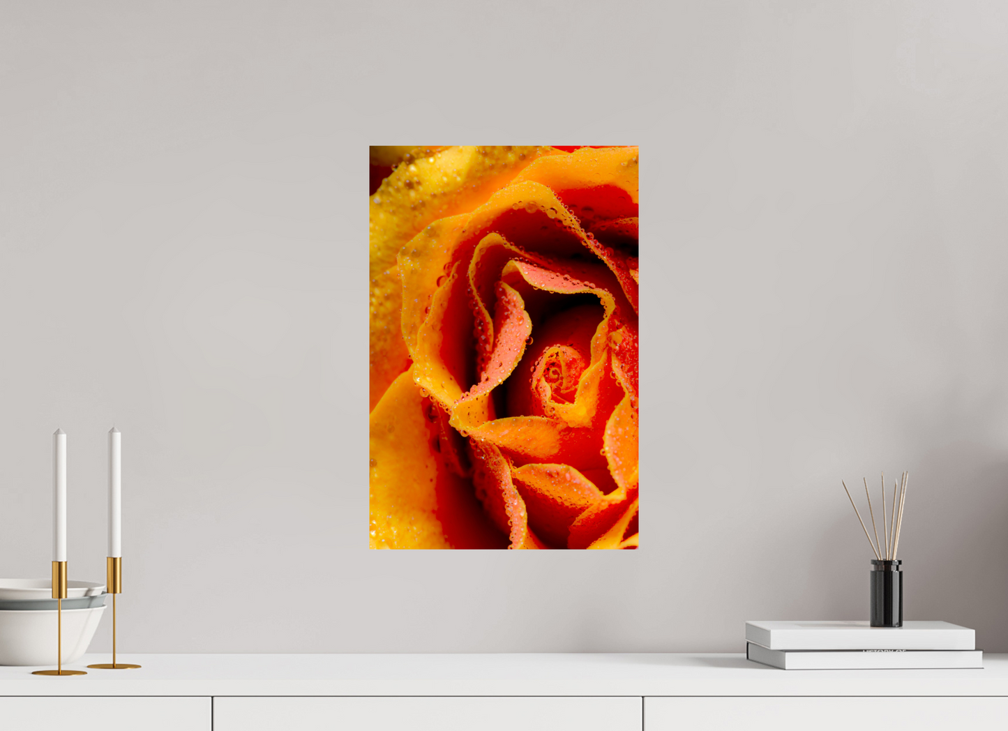 30 x 45 cm, Fine Art Print Baryta auf Alu-Dibond Rose_05