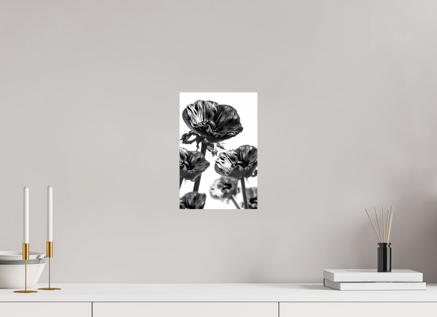 20 x 30 cm, Fine Art Print Baryta auf Alu-Dibond Kronenanemone_05