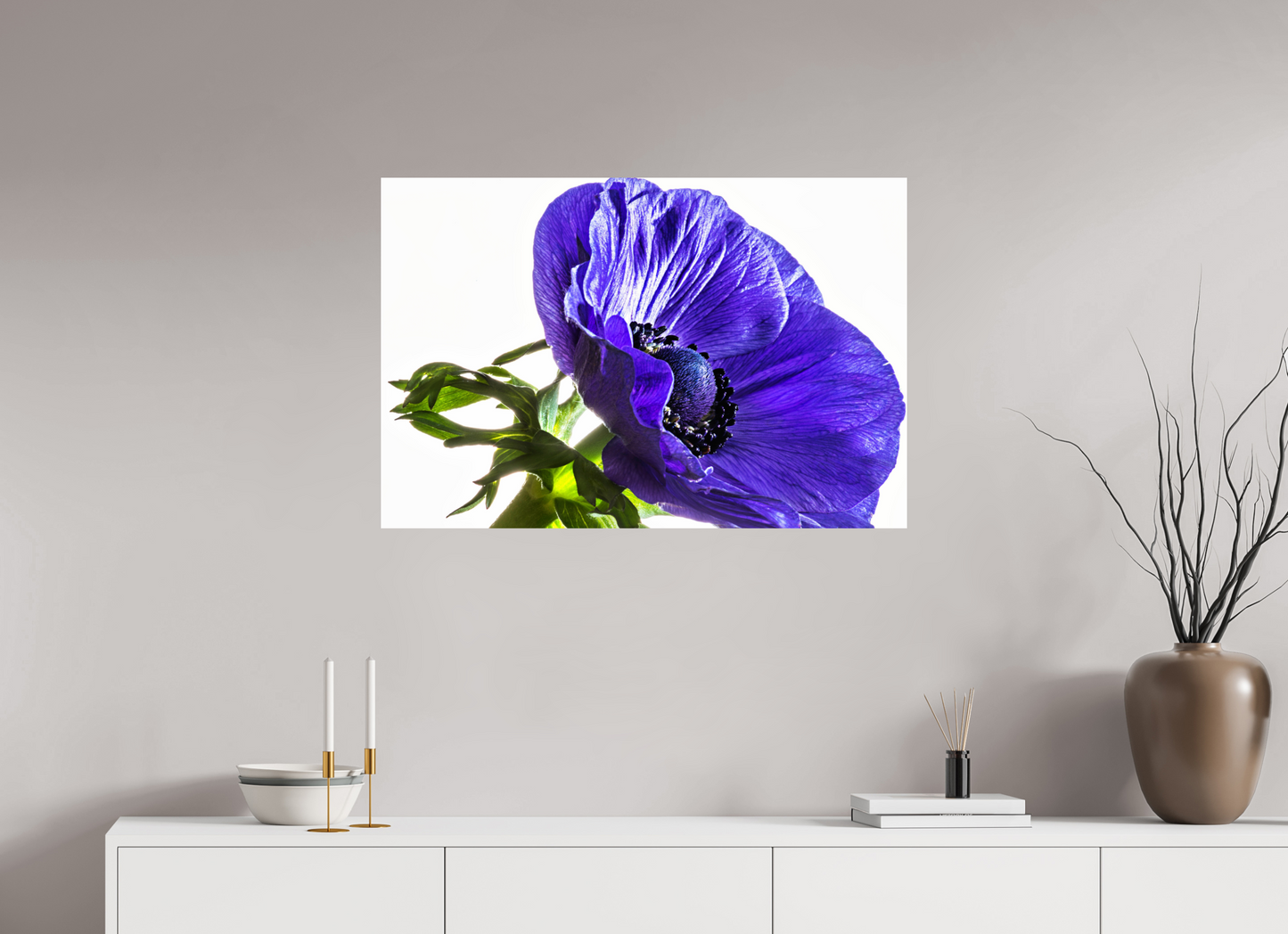 90 x 60 cm, Fine Art Print Baryta auf Alu-Dibond Kronenanemone_02