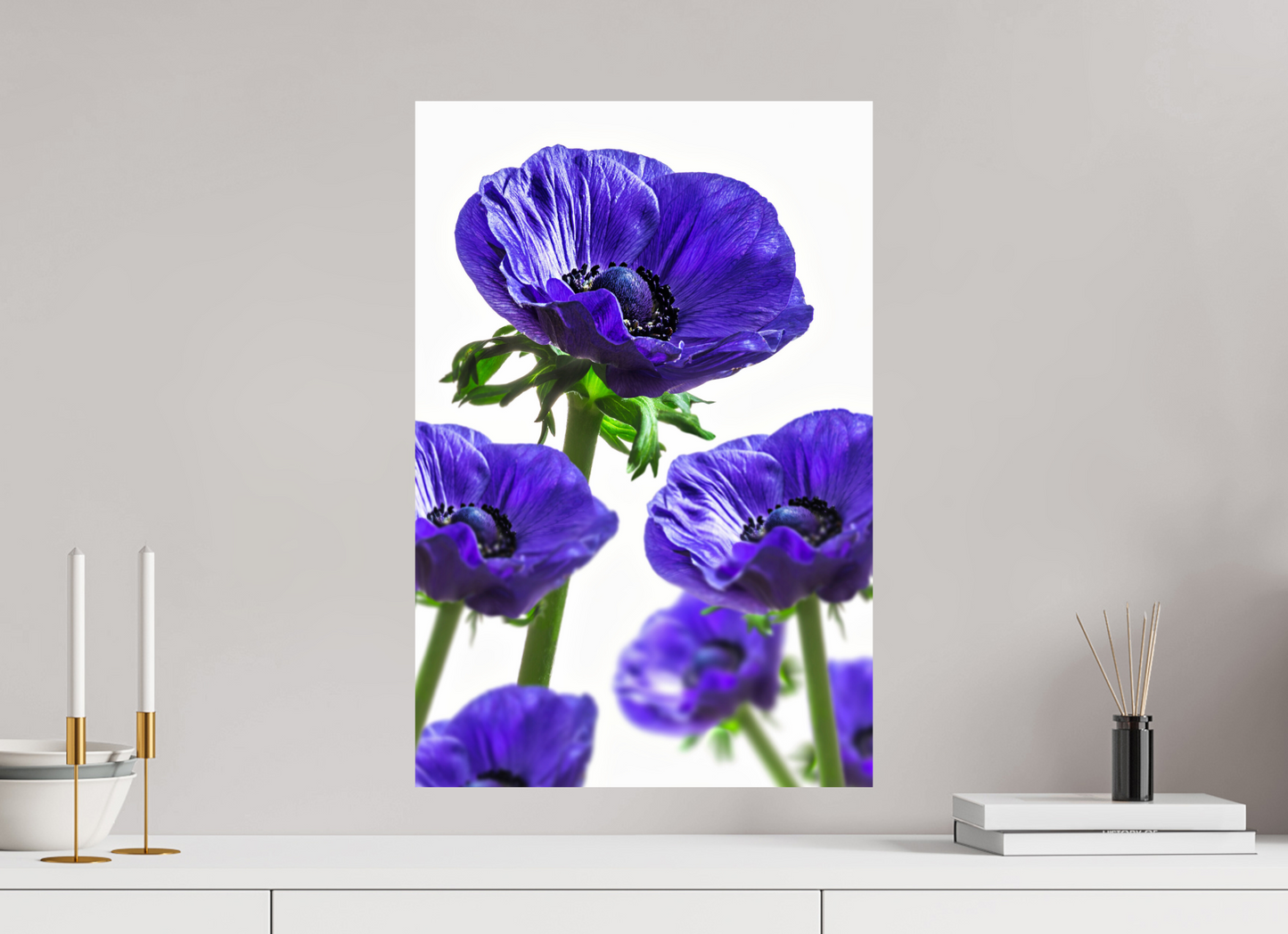40 x 60 cm, ChromaLuxe HD Metal Print Kronenanemone_06