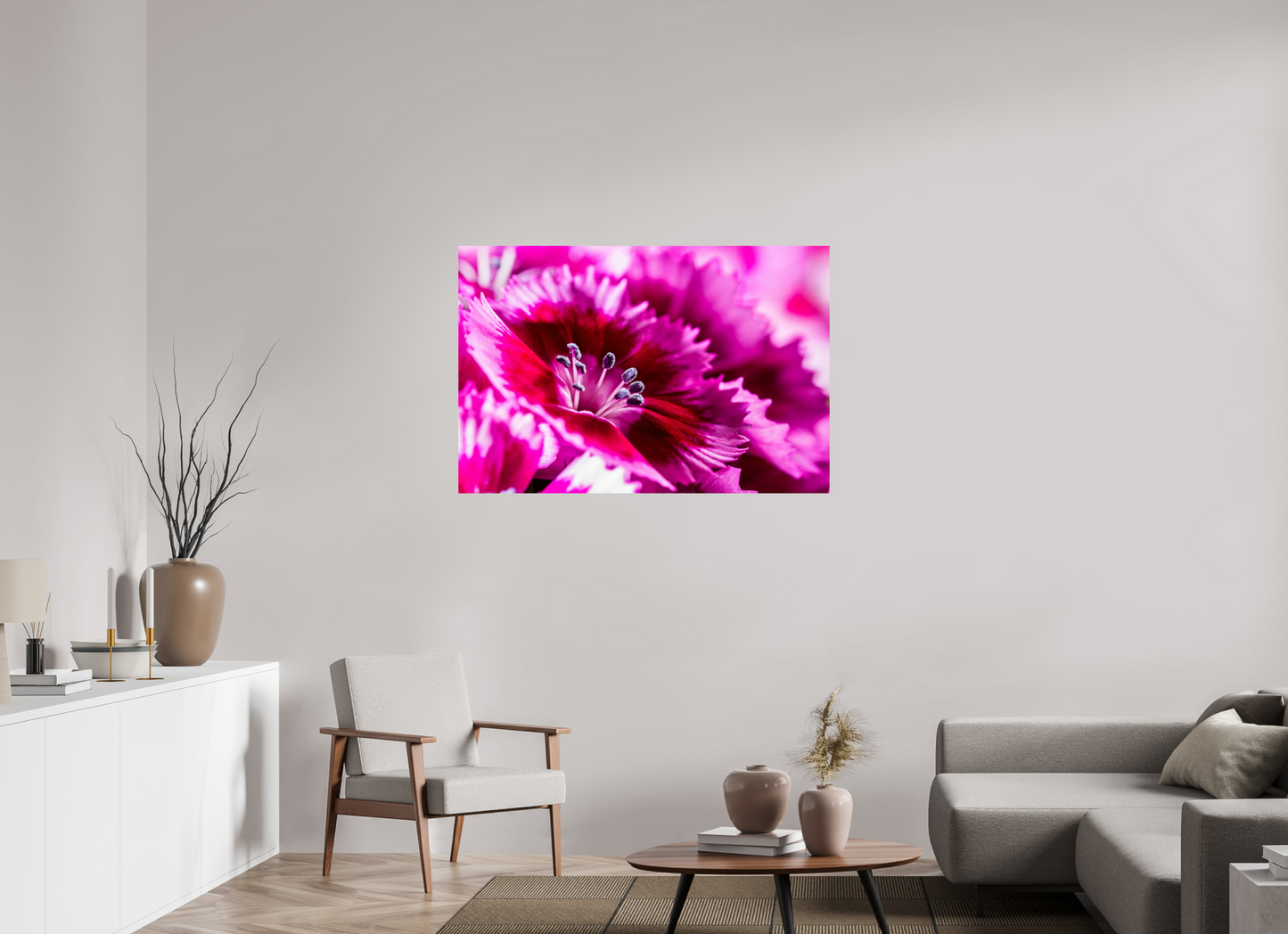 120 x 80 cm, Fine Art Print Baryta auf Alu-Dibond Bartnelke_04