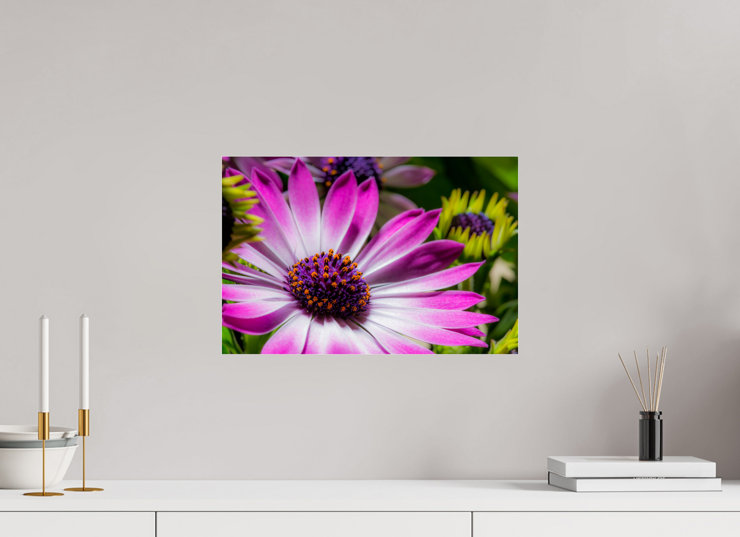 45 x 30 cm, Glänzender Foto-Abzug Acrylglas Kapmargerite_03