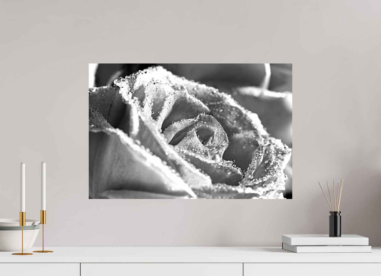 60 x 40 cm, Fine Art Print Baryta auf Alu-Dibond Rose_08