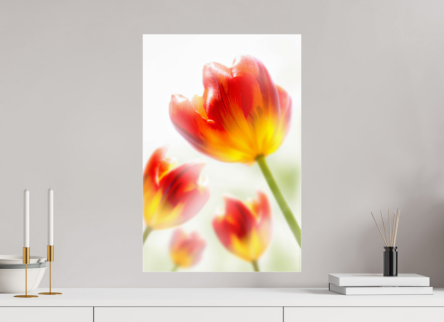 40 x 60 cm, Glänzender Foto-Abzug Acrylglas Tulpe-02