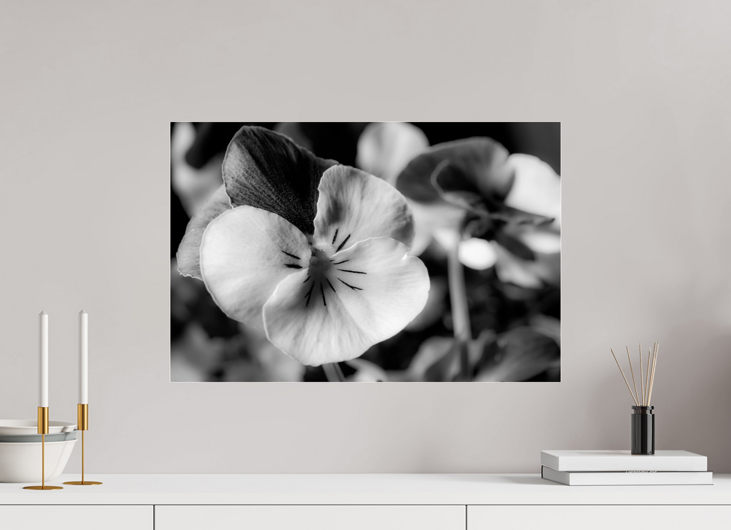 60 x 40 cm, Glänzender Foto-Abzug Acrylglas Hornveilchen_01