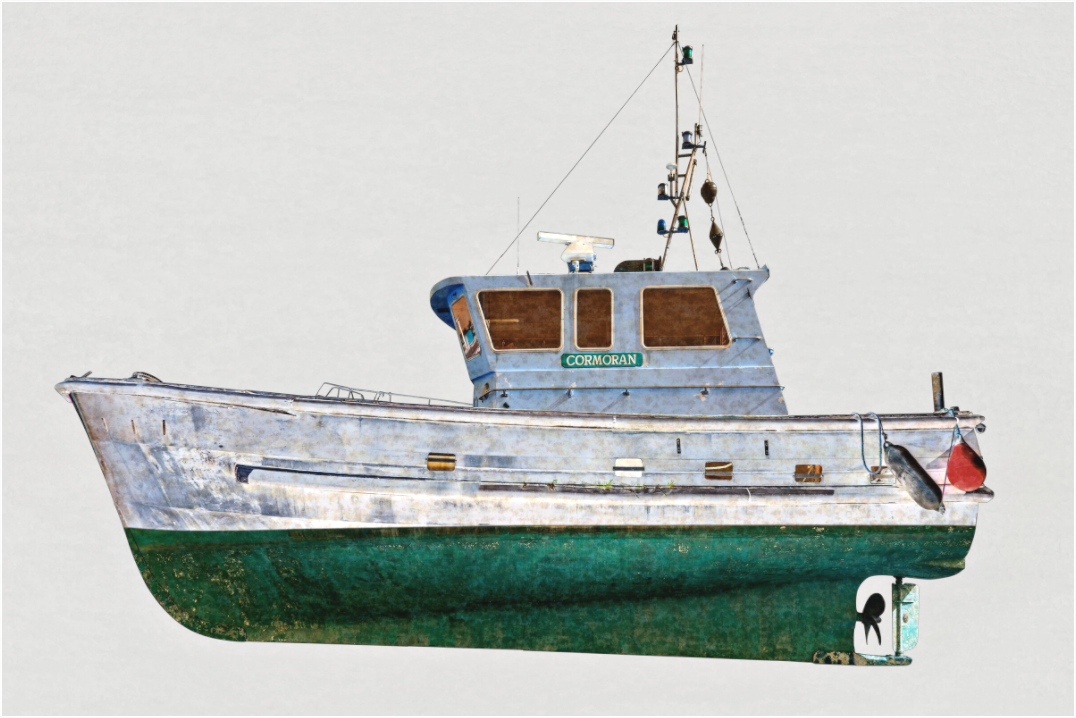 Main image Cormoran