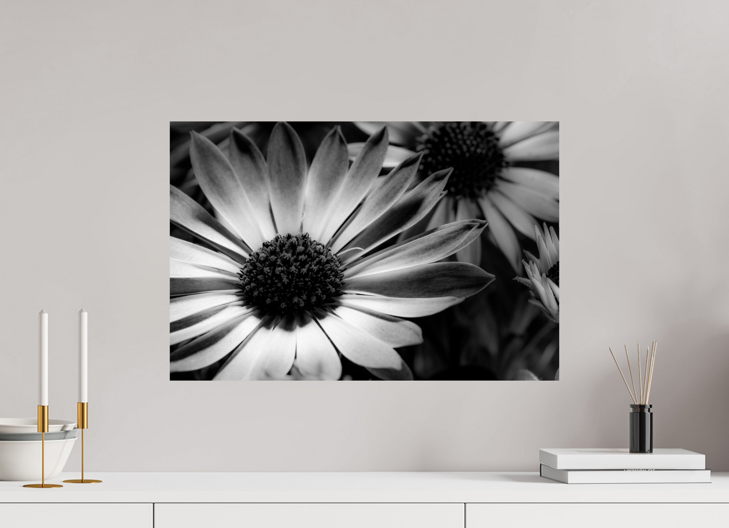 60 x 40 cm, Fine Art Print Baryta auf Alu-Dibond Kapmargerite_02
