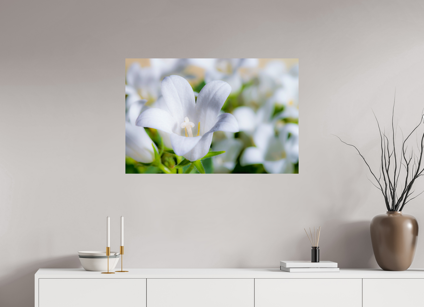 90 x 60 cm, Fine Art Print Baryta auf Alu-Dibond Glockenblume_02