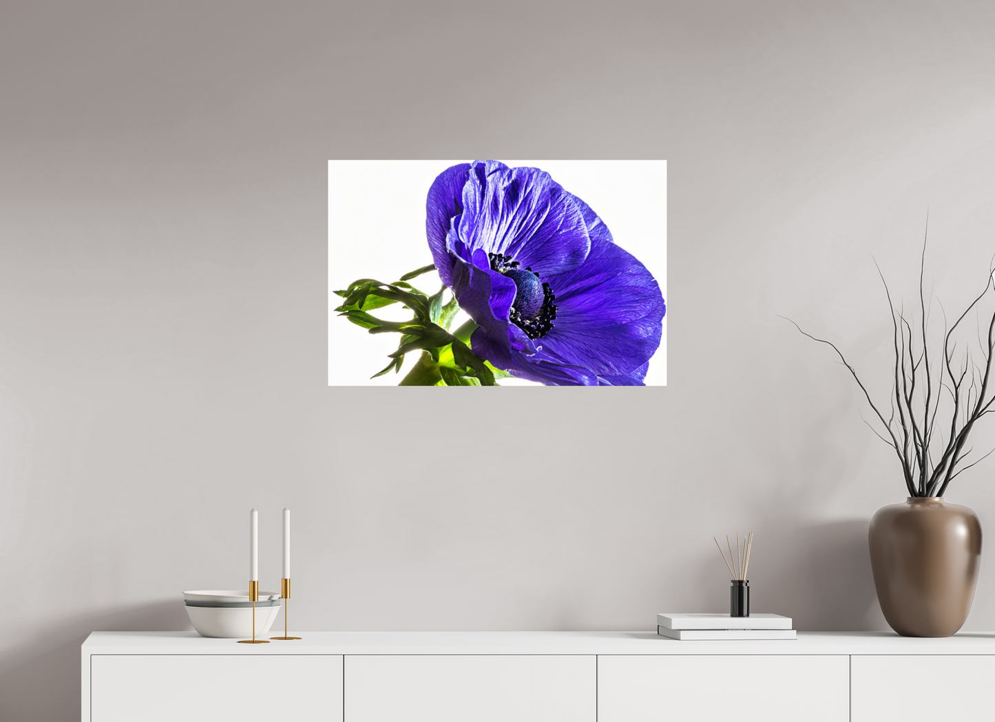 75 x 50 cm, Fine Art Print Baryta auf Alu-Dibond Kronenanemone_02