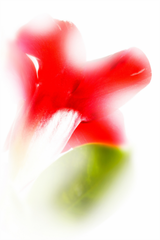 Main image Abstract Green