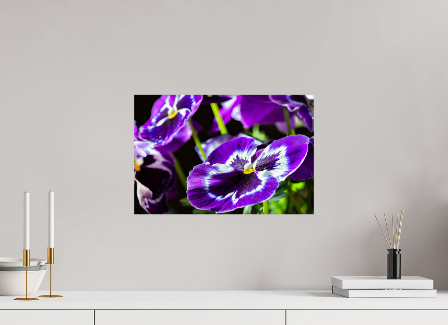 45 x 30 cm, Fine Art Print Baryta auf Alu-Dibond Stiefmuetterchen-02
