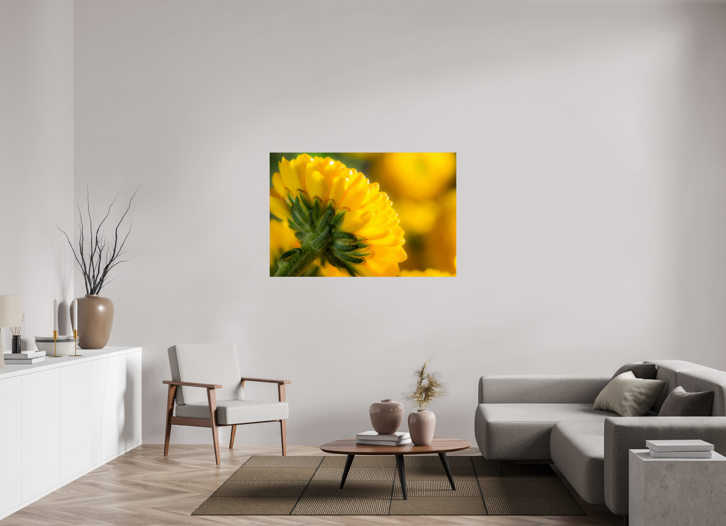 135 x 90 cm, Fine Art Print Baryta auf Alu-Dibond Chrysanthemen-05