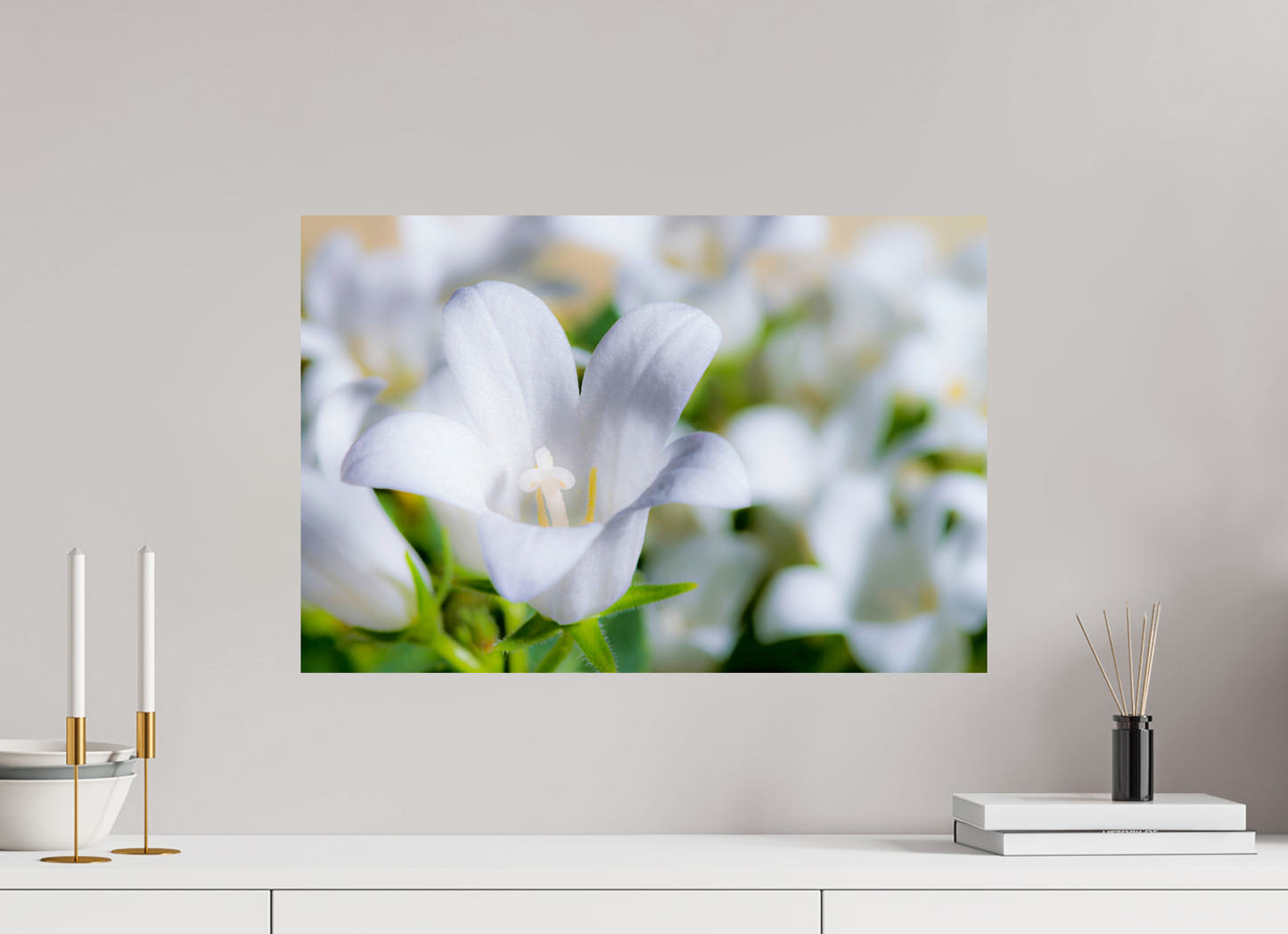 60 x 40 cm, ChromaLuxe HD Metal Print Glockenblume_02
