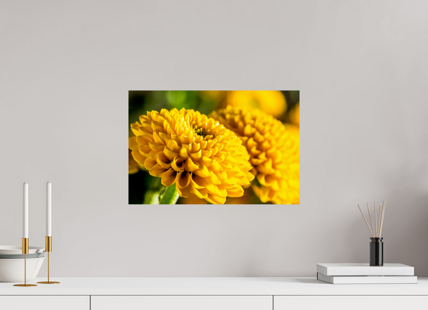 45 x 30 cm, ChromaLuxe HD Metal Print Chrysanthemen-04
