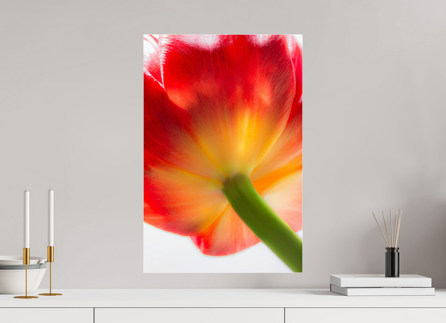 40 x 60 cm, Glänzender Foto-Abzug Acrylglas Tulpe-08