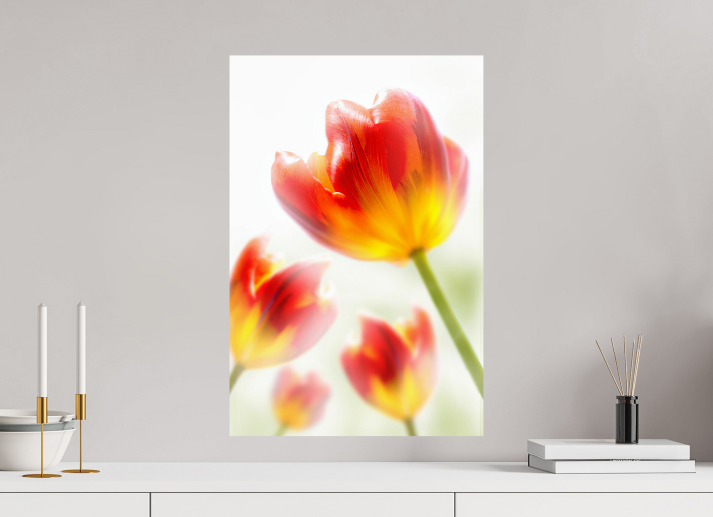 40 x 60 cm, Fine Art Print Baryta auf Alu-Dibond Tulpe-02